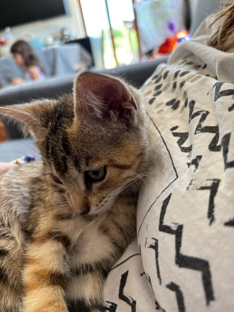 Minnie