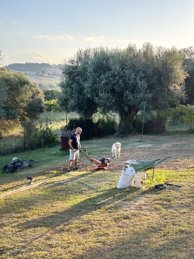 preparare l'orto